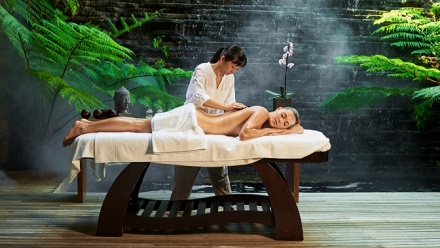 

SPA-программа в SPA-салоне Relax Thai