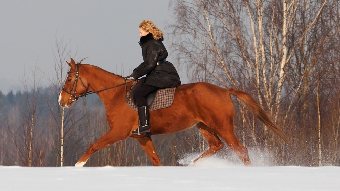 Russian riding. Блондинка на лошади со спины зимой. Верхом на лошади зимой без лица. Усадьба Марфино конные прогулки. Конный клуб Пчелка.