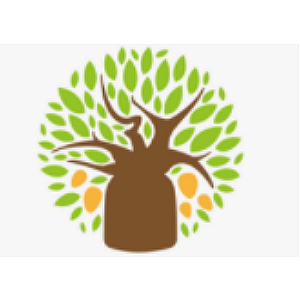 Сеть фотосалонов Baobab