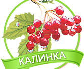 Гостевой дом Калинка