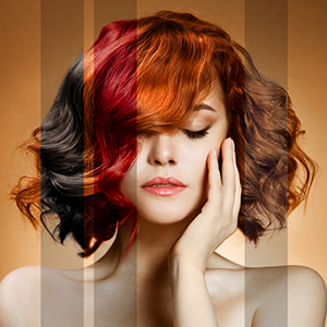 Dmitrieva Studio