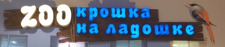 Контактный зоопарк Крошка на ладошке