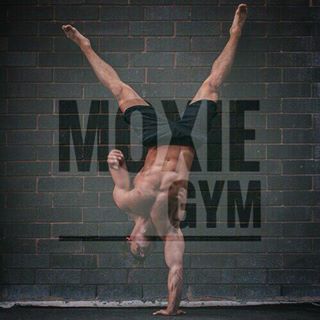 Студия Moxie Gym