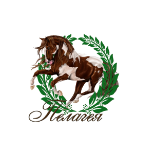 Частная конюшня Юлии Соколовой