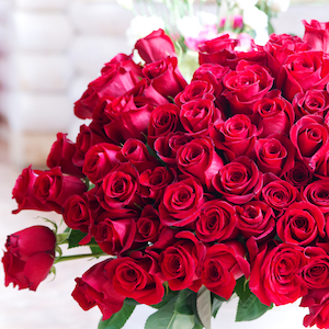 All Flowers