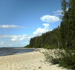 Коттедж Villa