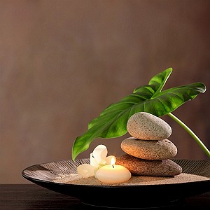 Мастерская Dr. Wise