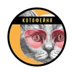 Котокафе Котофейня