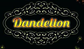 Студия красоты Dandelion