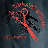Салон красоты Лохматая ворона