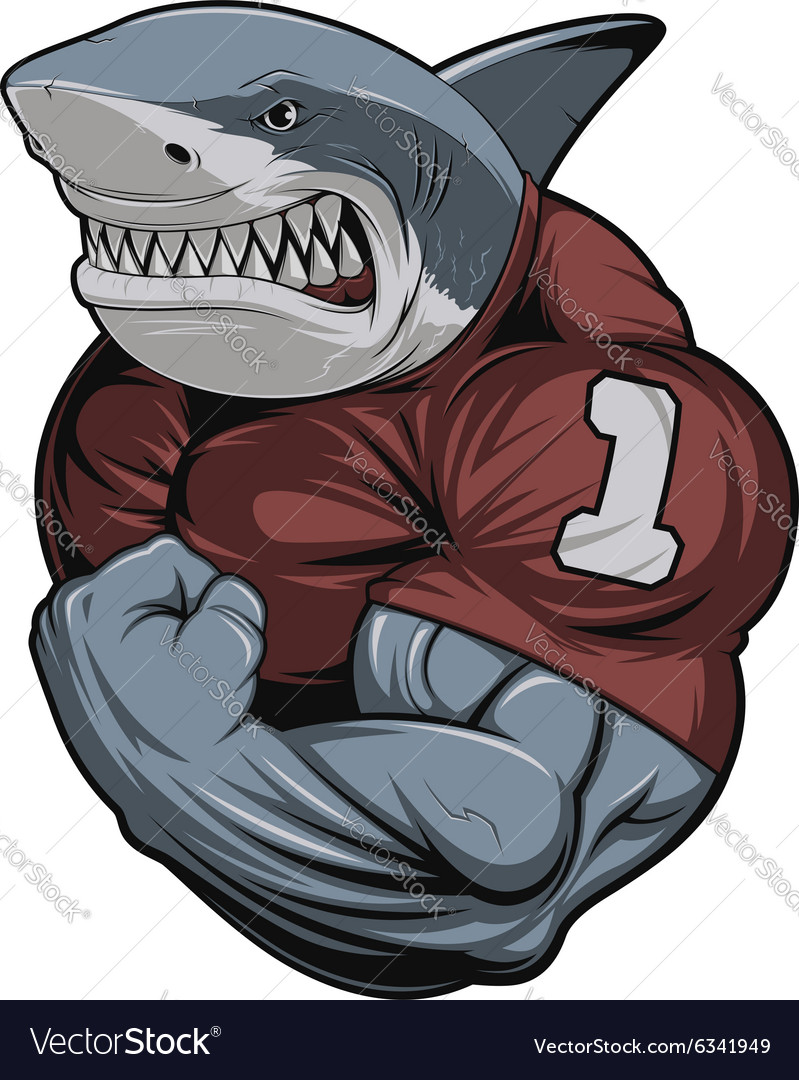Тренажерный зал Mad Shark