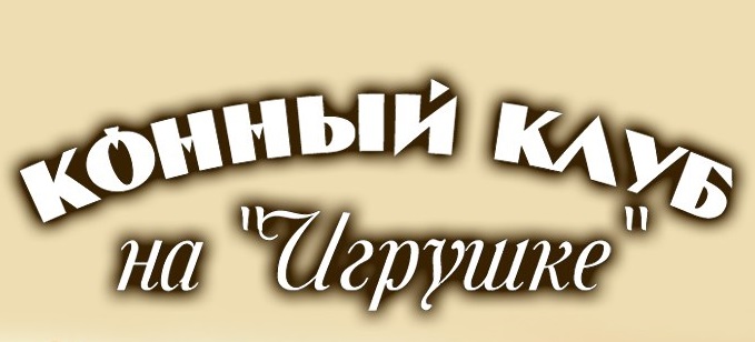 Конный клуб На игрушке