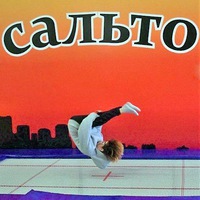 Батутно-акробатический центр Сальто
