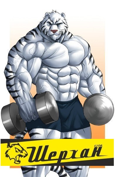 Спортклуб Шерхан