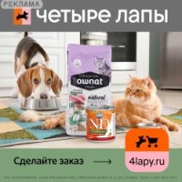 Четыре Лапы