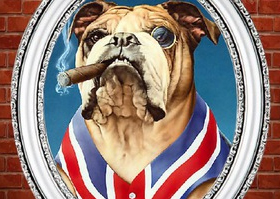 Бар Bulldog