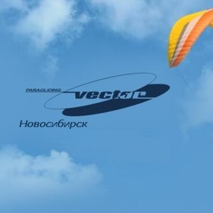 Вектор