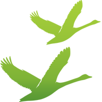 Саймаан Лиикенне