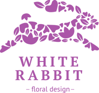 Компания White Rabbit