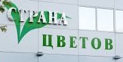 Магазин Страна цветов