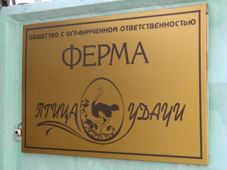 Птица удачи