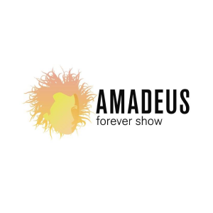 Amadeus Concerts