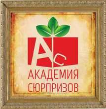 Академия сюрпризов