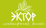Студия Эктор