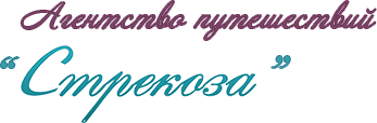Агентство путешествий Стрекоза