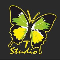 Студия красоты T-Studio