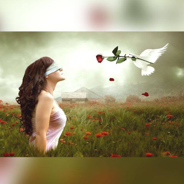 Компания Другая жизнь