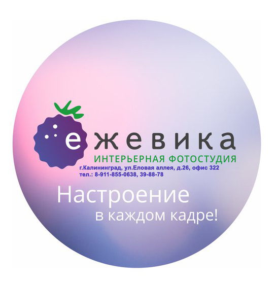 Фотостудия Ежевика