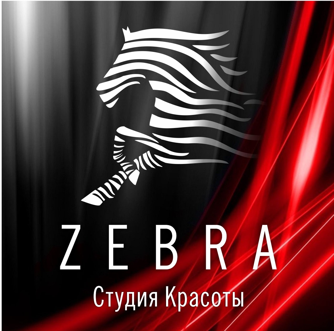 Студия Zebra