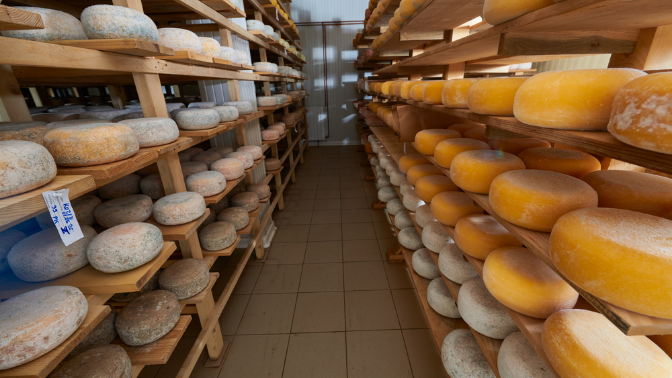 Загородная экскурсия