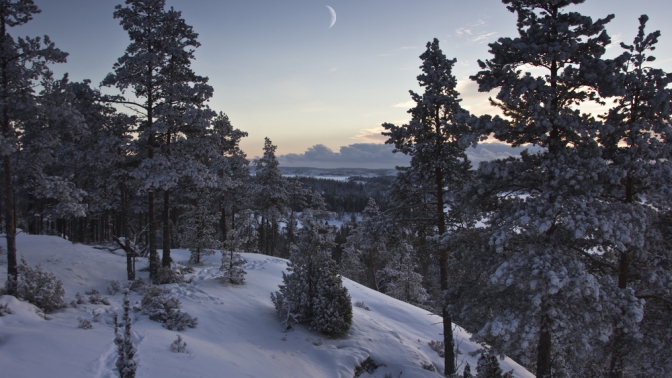 Тур на 4 дня