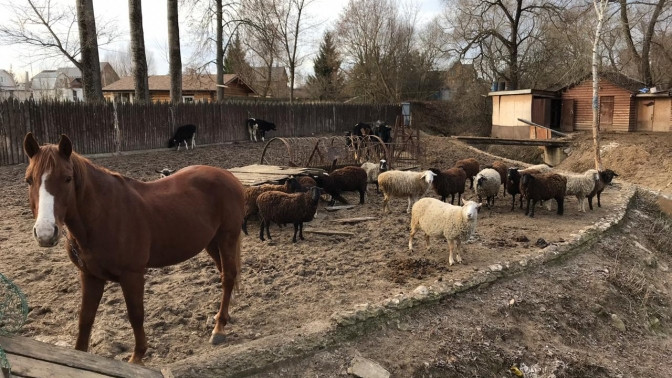 Farm русскими. Русское подворье Боровск. ЭКОФЕРМА Боровск. ЭКОФЕРМА Боровский монастырь. ЭКОФЕРМА русское подворье.