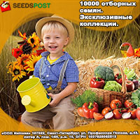 Seedspost