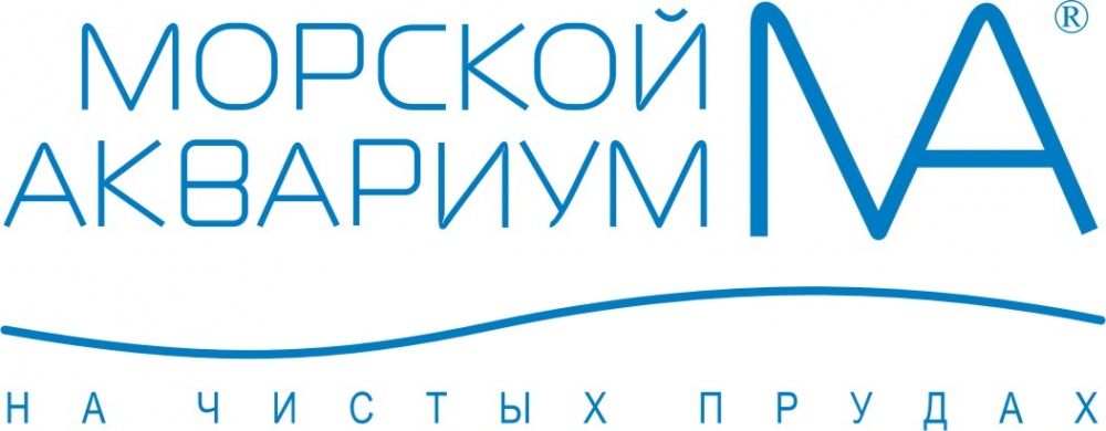 Ма На Чистых Прудах Интернет Магазин
