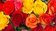 Цветы и подарки Цветочная ярмарка
