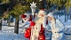 Организация праздников Почта и подарки от Деда Мороза