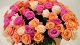 Цветы и подарки Букет из роз