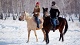 Верховая езда* Horse Travel
