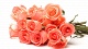 Цветы и подарки Донна Роза