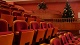 Театры, концерты Главная елка Новосибирской области