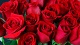 Цветы и подарки Icon Roses