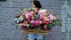 Цветы и подарки Mary J Mall Flowers