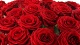 Цветы и подарки Империя роз