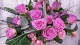 Цветы и подарки Аллея роз
