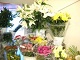 Цветы и подарки Цветы, сеть магазинов живых цветов
