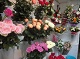 Цветы и подарки Ольга
